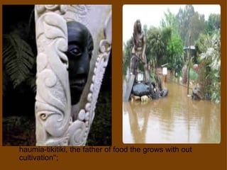  haumia-tikitiki, the father of food the grows with out cultivation''; 