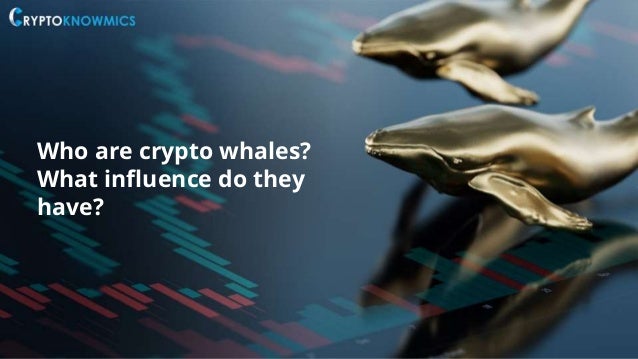 Who are crypto whales?
What influence do they
have?
 