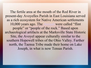 Echoes from the Wetlands: The Avoyel Tribe’s Vanishing Footprint in Louisiana
