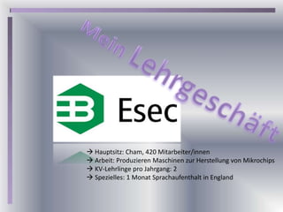 Berufsziel Meine Stärken / Schwächen Meine Lebensweisheit