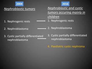 Nephroblastic tumors
1. Nephrogenic rests
2. Nephroblastoma
3. Cystic partially differentiated
nephroblastoma
Nephroblastic and cystic
tumors occuring mainly in
children
1. Nephrogenic rests
2. Nephroblastoma
3. Cystic partially differentiated
nephroblastoma
4. Paediatric cystic nephroma
2004 2016
 