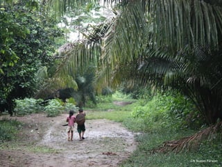 Who defines development consequences of non place and cultural-based definitions