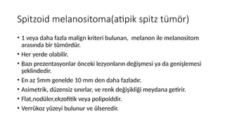 who deri spitz dünya sağlık örgütü bölümü.pptx