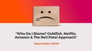 Who Do I Blame Goldfish, Netflix, Amazon And The Neil Patel Approach 