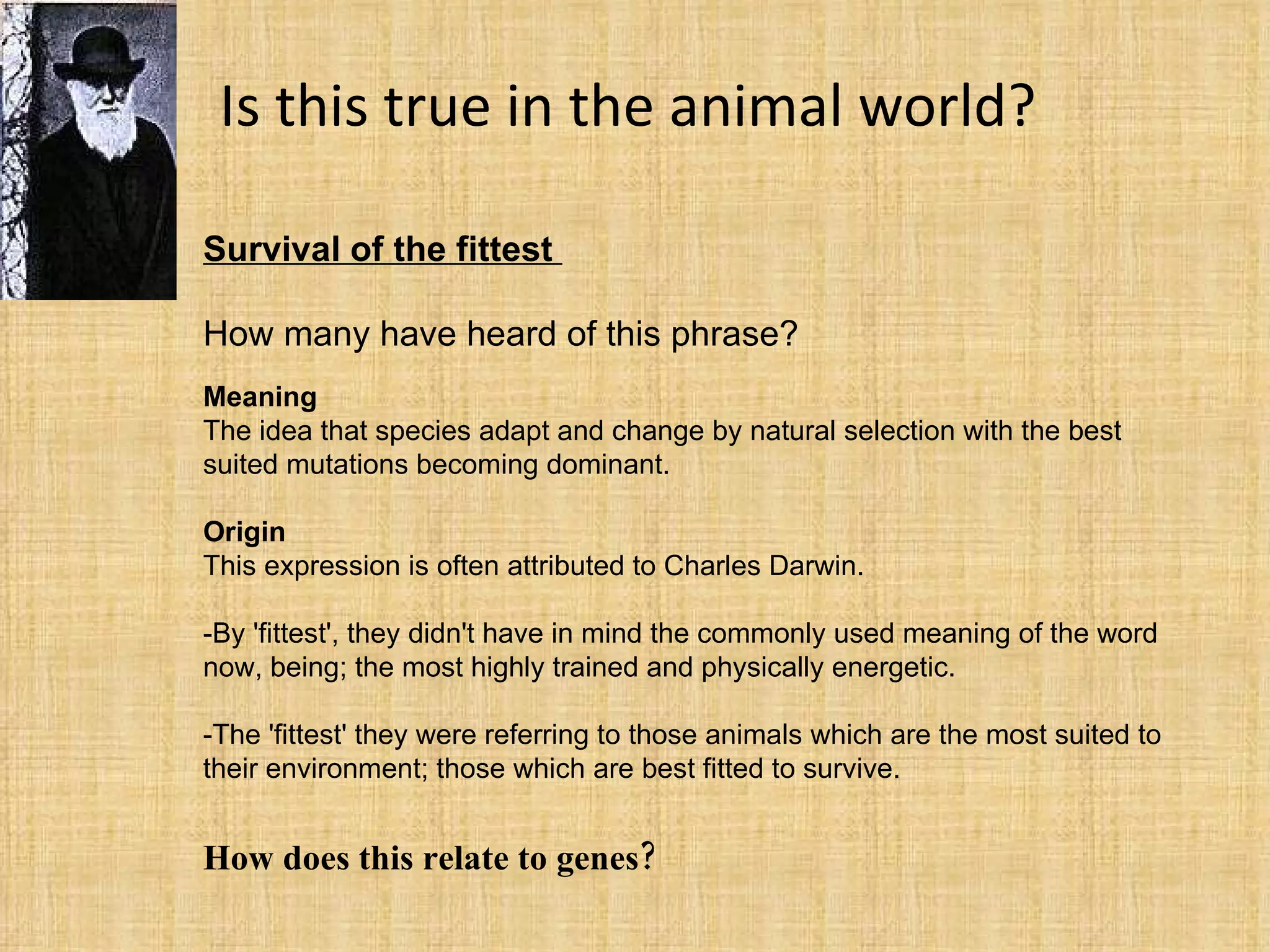 Is this true in the animal world?  Survival of the fittest  How many have heard of this phrase?  Meaning The idea that species adapt and change by natural selection with the best suited mutations becoming dominant. Origin This expression is often attributed to Charles Darwin. -By 'fittest', they didn't have in mind the commonly used meaning of the word now, being; the most highly trained and physically energetic.  -The 'fittest' they were referring to those animals which are the most suited to their environment; those which are best fitted to survive.  How does this relate to genes?  