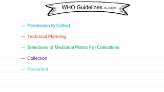 → Permission to Collect
→ Technical Planning
→ Selections of Medicinal Plants For Collections
→ Collection
→ Personnel
WHO Guidelines On GACP
 