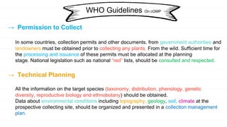 → Permission to Collect
In some countries, collection permits and other documents. from government authorities and
landowners must be obtained prior to collecting any plants. From the wild. Sufficient time for
the processing and issuance of these permits must be allocated at the planning
stage. National legislation such as national “red” lists, should be consulted and respected.
→ Technical Planning
All the information on the target species (taxonomy, distribution, phenology, genetic
diversity, reproductive biology and ethnobotany) should be obtained.
Data about environmental conditions including topography, geology, soil, climate at the
prospective collecting site, should be organized and presented in a collection management
plan.
WHO Guidelines On cGMP
 