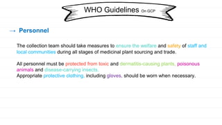 → Personnel
The collection team should take measures to ensure the welfare and safety of staff and
local communities during all stages of medicinal plant sourcing and trade.
All personnel must be protected from toxic and dermatitis-causing plants, poisonous
animals and disease-carrying insects.
Appropriate protective clothing, including gloves, should be worn when necessary.
WHO Guidelines On GCP
 