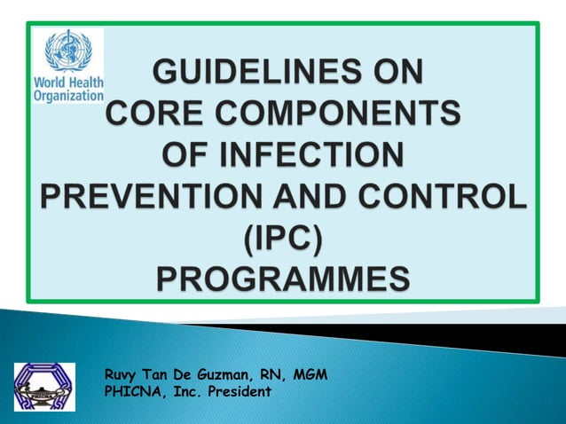 WHO Guidelines on Core Components of Infection Prevention and Control ...