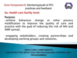 WHO Guidelines on Core Components of Infection Prevention and Control ...