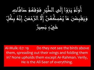 Al-Mulk: 67: 19 Do they not see the birds above
them, spreading out their wings and folding them
in? None upholds them except Ar-Rahman. Verily,
He is the All-Seer of everything.
َ‫ف‬ ِ‫ر‬ْ‫ي‬َّ‫ط‬‫ال‬‫ى‬َ‫ل‬ِ‫إ‬‫ا‬ْ‫و‬َ‫ر‬َ‫ي‬ ْ‫م‬َ‫ل‬َ‫و‬َ‫أ‬ٍ‫ات‬َّ‫اف‬َ‫ص‬ ْ‫م‬ُ‫ه‬َ‫ق‬ْ‫و‬
َّ‫ن‬ُ‫ه‬ُ‫ك‬ِ‫س‬ْ‫م‬ُ‫ي‬ ‫ا‬َ‫م‬ َ‫ن‬ْ‫ض‬ِ‫ب‬ْ‫ق‬َ‫ي‬َ‫و‬ُ‫ه‬َّ‫ن‬ِ‫إ‬ ُ‫ن‬َ‫م‬ْ‫ح‬َّ‫الر‬ َّ‫َّل‬ِ‫إ‬ِ‫ل‬ُ‫ك‬ِ‫ب‬
‫ير‬ِ‫ص‬َ‫ب‬ ٍ‫ء‬ْ‫ي‬َ‫ش‬
 