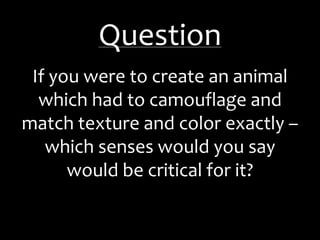 Question
If you were to create an animal
which had to camouflage and
match texture and color exactly –
which senses would you say
would be critical for it?
 