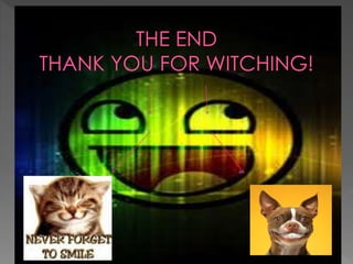 Who is fibonacci by ashley