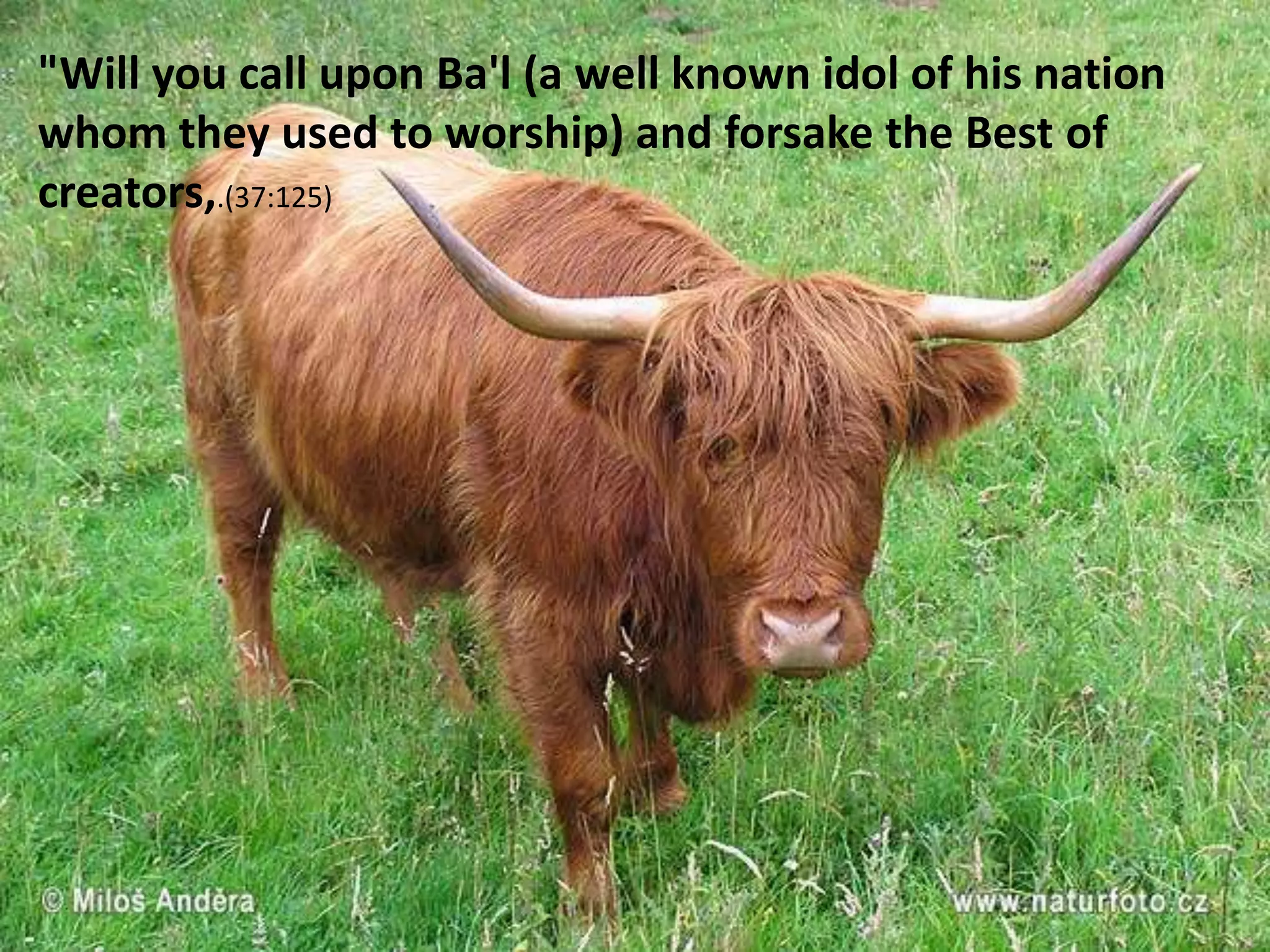 "Will you call upon Ba'l (a well known idol of his nation whom they used to worship) and forsake the Best of creators,.(37:125)