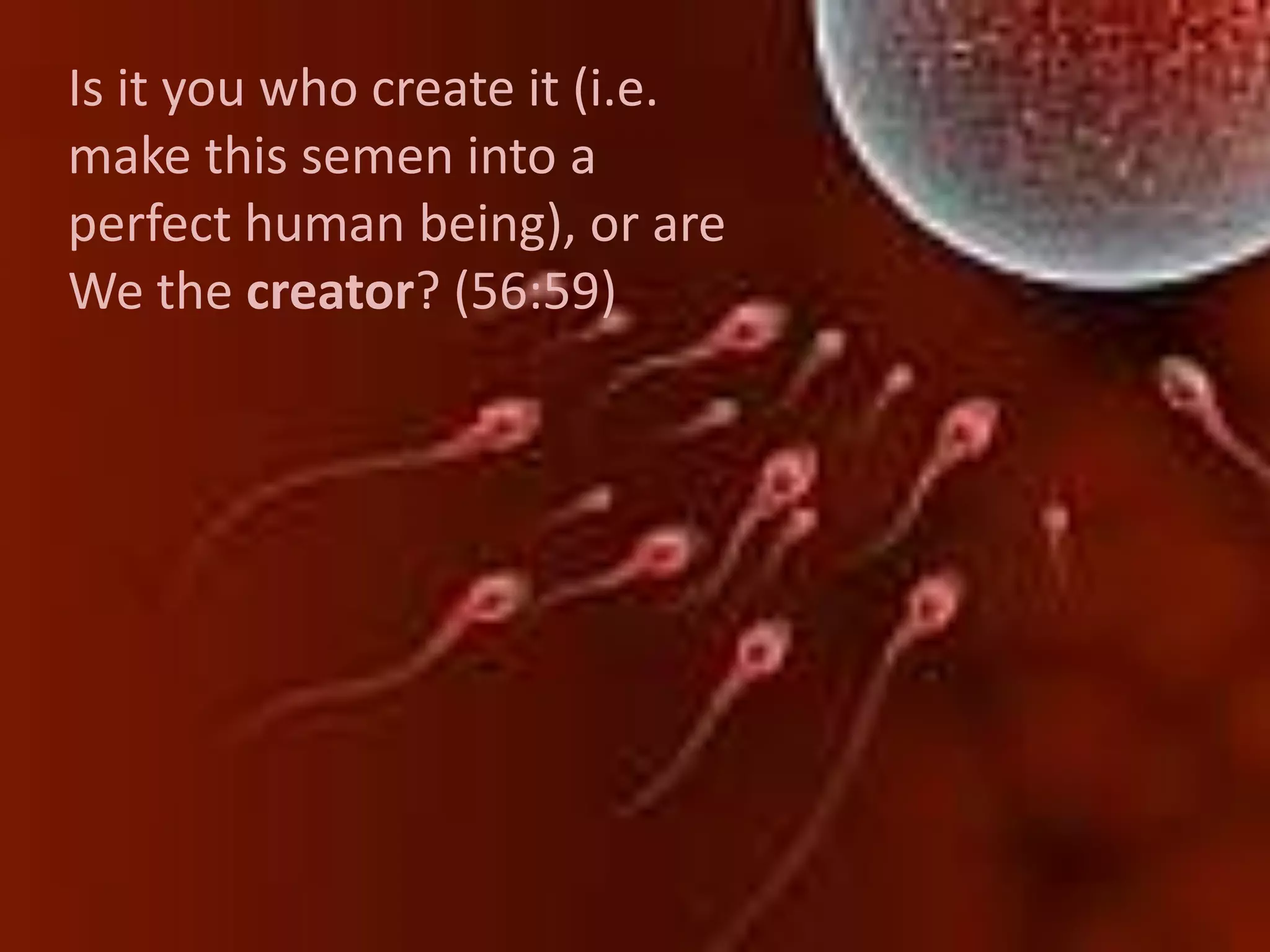 Is it you who create it (i.e. make this semen into a perfect human being), or are We the creator? (56:59) 