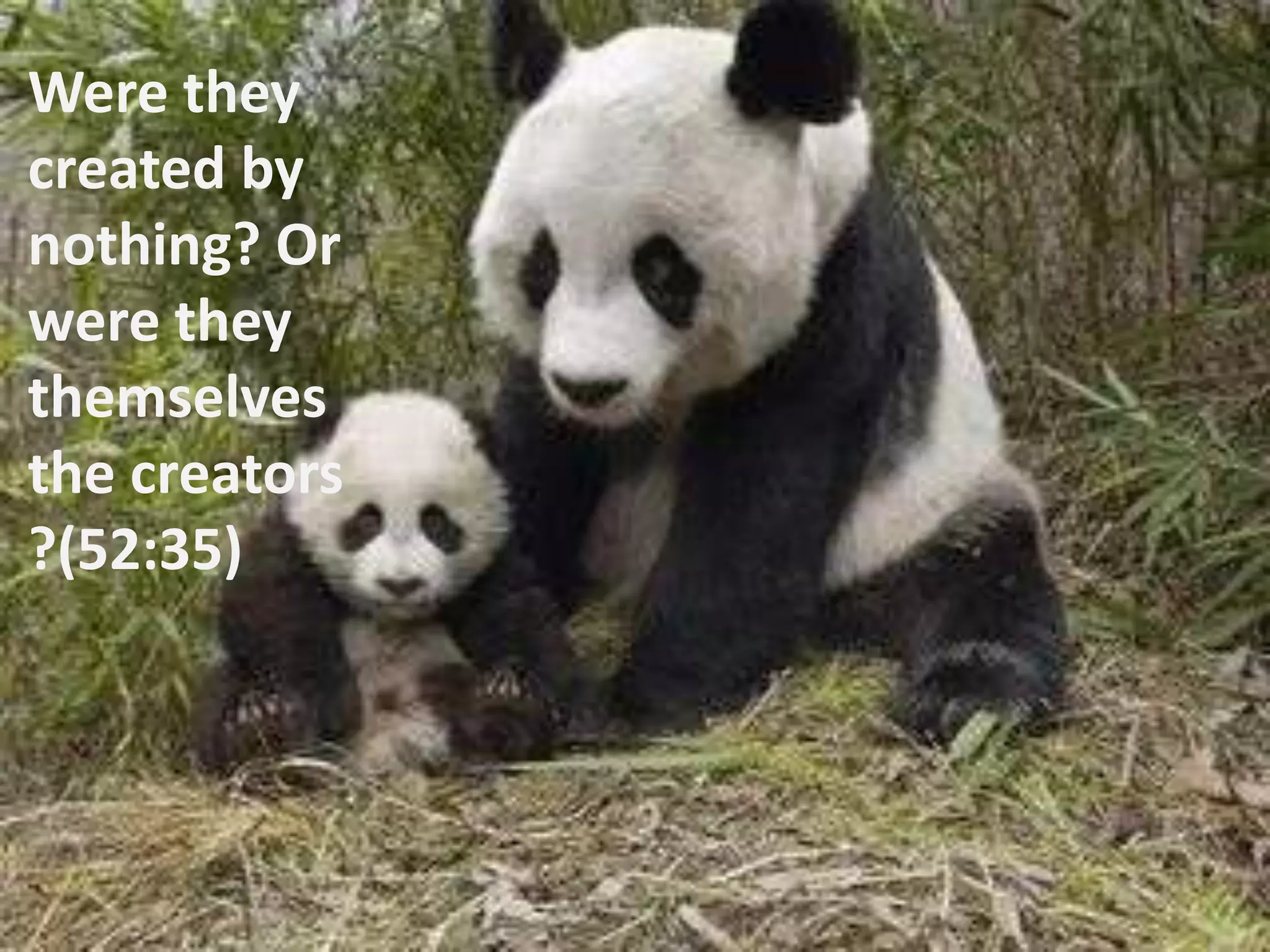 Were they created by nothing? Or were they themselves the creators?(52:35)