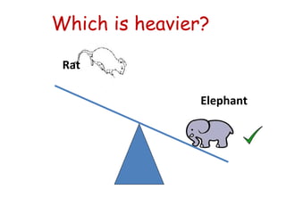 Which is heavier?
Elephant
Rat
 