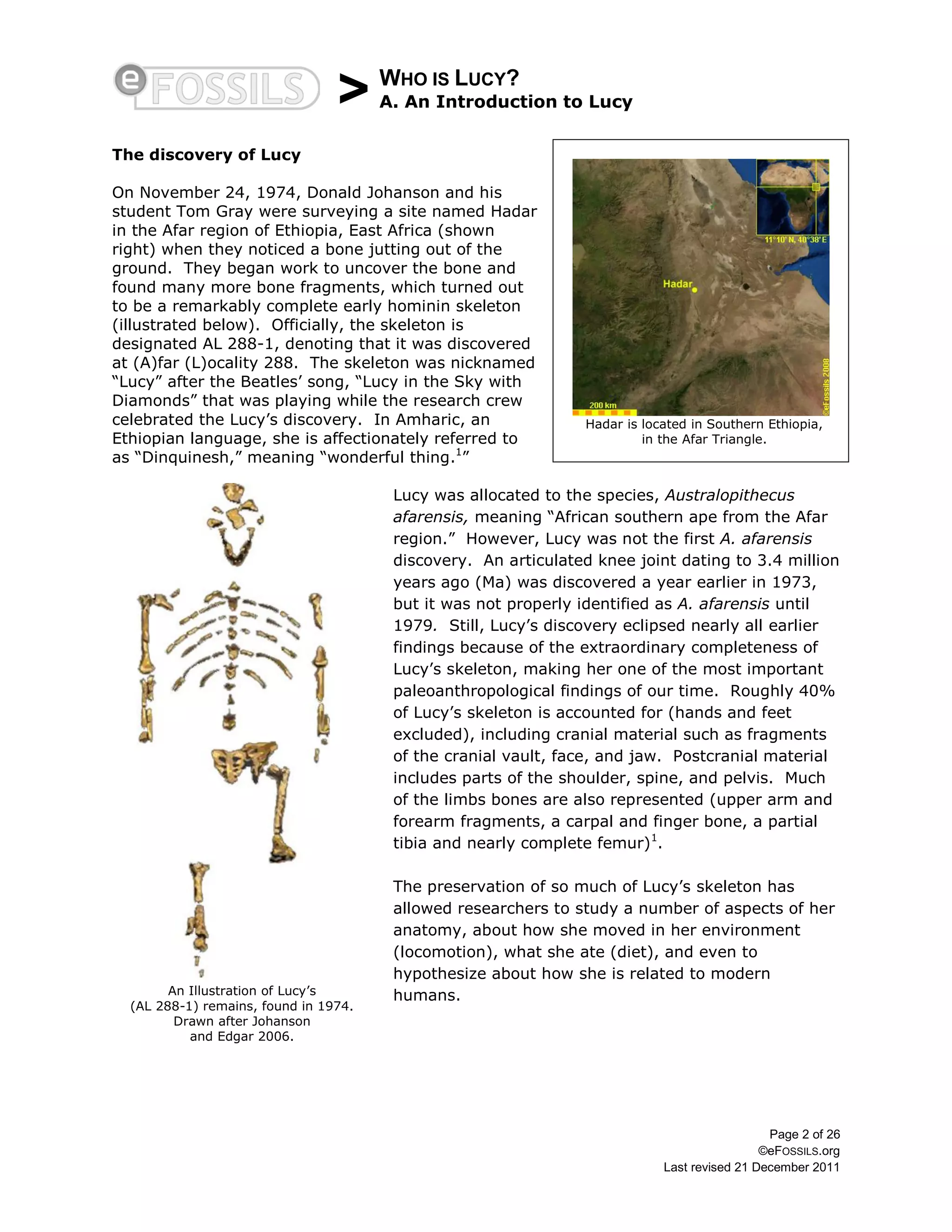 Who is lucy 0 | PDF | Biological Sciences | Science
