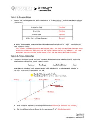 > WHO IS LUCY?
H. Answer Key
Page 22 of 26
©eFOSSILS.org
Last revised 21 December 2011
Activity 1: Character States
1. Identify the following features of Lucy’s skeleton as either primitive (chimpanzee-like) or derived
(human-like).
Prognathic face Primitive
Brain size Primitive
Valgus knee Derived
Wide, short pelvis and sacrum Derived
a. Using your answers, how would you describe the overall anatomy of Lucy? On what do you
base your conclusions?
Lucy exhibits a mosaic of primitive and derived traits. Her brain size and face shape are more
similar to chimpanzees, indicating that she shared these traits with her ancestors. Her knee
and pelvis shape are derived (more human) traits that she shares with later hominins.
Activity 2: Primate Relationships
1. Using the cladogram below, place the following labels on the blue lines to correctly depict the
evolutionary relationships among these primates:
Humans Monkeys Australopithecus Apes
Now read the following clues. Identify where each derived trait in the box below evolved by
placing it next to its corresponding red line.
Clue 1: All living apes lack tails.
Clue 2: Bigger brains evolved after bipedalism.
a. What primates are characterized by bipedalism? Hominins (A. afarensis and humans)
b. Did bipedal locomotion or bigger brains size evolve first? Bipedal locomotion
 