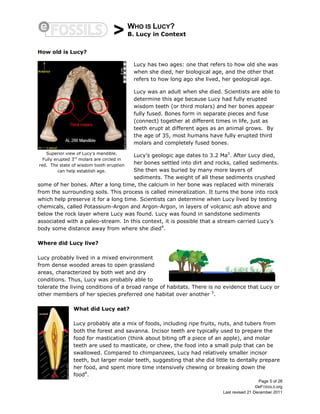 > WHO IS LUCY?
B. Lucy in Context
Page 5 of 26
©eFOSSILS.org
Last revised 21 December 2011
How old is Lucy?
Lucy has two ages: one that refers to how old she was
when she died, her biological age, and the other that
refers to how long ago she lived, her geological age.
Lucy was an adult when she died. Scientists are able to
determine this age because Lucy had fully erupted
wisdom teeth (or third molars) and her bones appear
fully fused. Bones form in separate pieces and fuse
(connect) together at different times in life, just as
teeth erupt at different ages as an animal grows. By
the age of 35, most humans have fully erupted third
molars and completely fused bones.
Lucy’s geologic age dates to 3.2 Ma3
. After Lucy died,
her bones settled into dirt and rocks, called sediments.
She then was buried by many more layers of
sediments. The weight of all these sediments crushed
some of her bones. After a long time, the calcium in her bone was replaced with minerals
from the surrounding soils. This process is called mineralization. It turns the bone into rock
which help preserve it for a long time. Scientists can determine when Lucy lived by testing
chemicals, called Potassium-Argon and Argon-Argon, in layers of volcanic ash above and
below the rock layer where Lucy was found. Lucy was found in sandstone sediments
associated with a paleo-stream. In this context, it is possible that a stream carried Lucy’s
body some distance away from where she died4
.
Where did Lucy live?
Lucy probably lived in a mixed environment
from dense wooded areas to open grassland
areas, characterized by both wet and dry
conditions. Thus, Lucy was probably able to
tolerate the living conditions of a broad range of habitats. There is no evidence that Lucy or
other members of her species preferred one habitat over another 5
.
What did Lucy eat?
Lucy probably ate a mix of foods, including ripe fruits, nuts, and tubers from
both the forest and savanna. Incisor teeth are typically used to prepare the
food for mastication (think about biting off a piece of an apple), and molar
teeth are used to masticate, or chew, the food into a small pulp that can be
swallowed. Compared to chimpanzees, Lucy had relatively smaller incisor
teeth, but larger molar teeth, suggesting that she did little to dentally prepare
her food, and spent more time intensively chewing or breaking down the
food6
.
Superior view of Lucy’s mandible.
Fully erupted 3rd
molars are circled in
red. The state of wisdom tooth eruption
can help establish age.
 