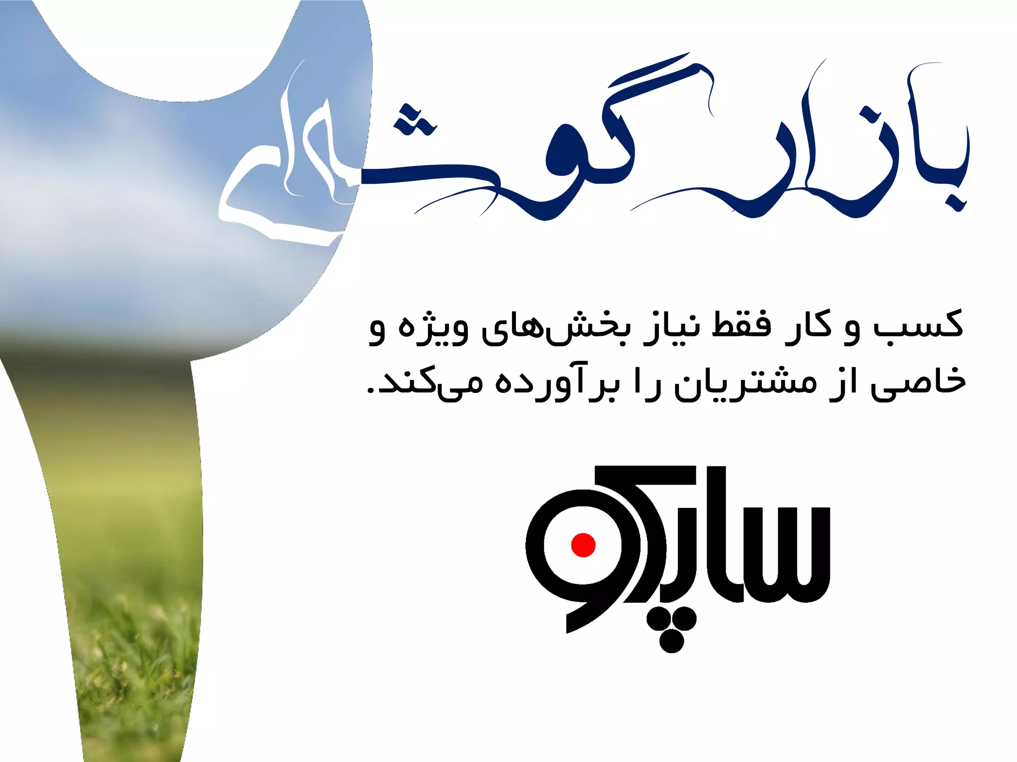 ‫گوش‬ ‫بازار‬‫ای‬‫ه‬
ٍ ُ‫ٍیژ‬ ‫ّای‬‫بخش‬ ‫ًیاز‬ ‫فقط‬ ‫کار‬ ٍ ‫کسب‬
‫کٌذ‬‫هی‬ ُ‫برآٍرد‬ ‫را‬ ‫هشتریاى‬ ‫از‬ ‫خاصی‬.
 