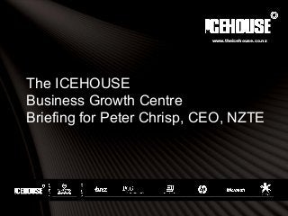 The ICEHOUSE
Business Growth Centre
Briefing for Peter Chrisp, CEO, NZTE
www.theicehouse.co.nz
 