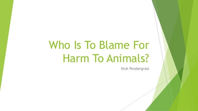 Who Is To Blame For
Harm To Animals?
Nick Pendergrast
 