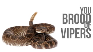you
broodof
vipers
 