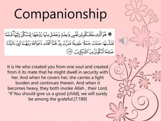 It is He who created you from one soul and created
from it its mate that he might dwell in security with
her. And when he covers her, she carries a light
burden and continues therein. And when it
becomes heavy, they both invoke Allah , their Lord,
"If You should give us a good [child], we will surely
be among the grateful.[7:189]
Companionship
 
