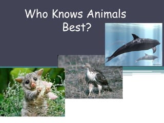 Who Knows Animals
      Best?
 