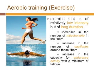 Aerobic training (Exercise)exercise that is of relatively low intensity but of long duration∞ increases in the number ofmitochondria in the fibers∞ increase in the number of capillaries around these fibers	∞ increase in the capacity for endurance activity with a minimum of fatigue