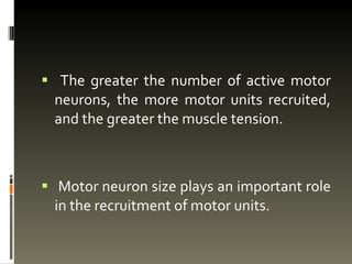 The greater the number of active motor neurons, the more motor units recruited, and the greater the muscle tension. Motor neuron size plays an important role in the recruitment of motor units.