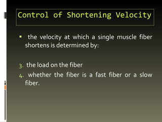 Control of Shortening Velocity the velocity at which a single muscle fiber shortens is determined by: the load on the fiber whether the fiber is a fast fiber or a slow fiber.