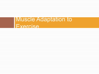 Muscle Adaptation to Exercise 