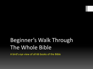 Beginner’s Walk Through
The Whole Bible
A bird’s eye view of all 66 books of the Bible
 