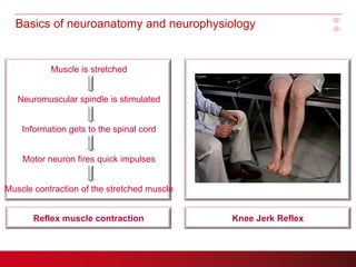 Whole Body Vibration For Health Clubs Pdf Whole Body Vibration For Health Clubs Pdf