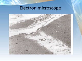 Take home points for today:Basics concept of inflammationHow its involved with injury, heart, cancerHow to control it with pharmacy                           (your inner pharmacy)How food works as an anti-inflammatory