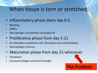 What happens chemically?Hormones Imbalances in stress response/relaxation responseActivation of the inflammatory cascadeFirst lets talk about inflammation in easy terms……