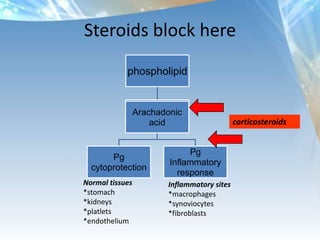 Inflammatory phase starts day 0-5BleedingPMN’sMacrophages and platelets stimulates GFProliferative phase from day 5-21GF stimulates endothelial cells, fibroblasts and myofibroblastsMacrophages continueMaturation phase from day 21-wheneverFibroblastsIncreased collagen and tensil strengthThe ProblemWhen tissue is torn or stretched: