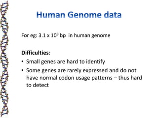 For eg: 3.1 x 109 bp in human genome
Difficulties:
• Small genes are hard to identify
• Some genes are rarely expressed and do not
have normal codon usage patterns – thus hard
to detect
 