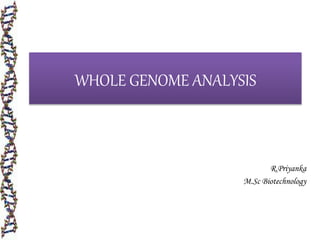 WHOLE GENOME ANALYSIS
R.Priyanka
M.Sc Biotechnology
 