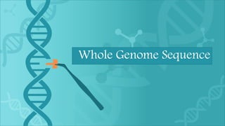 Whole Genome Sequence
 
