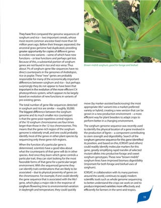 Whole genome sequences, what do they tell us