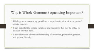 Why is Whole Genome Sequencing Important?
• Whole genome sequencing provides a comprehensive view of an organism's
genetic makeup.
• It can help identify genetic variations and mutations that may be linked to
diseases or other traits.
• It also allows for a better understanding of evolution, population genetics,
and genetic diversity.
 
