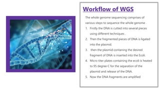 whole genome sequencing new and its types including shortgun and clone ...
