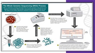 whole genome sequencing new and its types including shortgun and clone ...