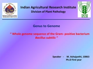 Genus to Genome
“ Whole genome sequence of the Gram- positive bacterium
Bacillus subtilis ”
Indian Agricultural Research Institute
Division of Plant Pathology
Speaker - M. Ashajyothi, 10863
Ph.D First year
 