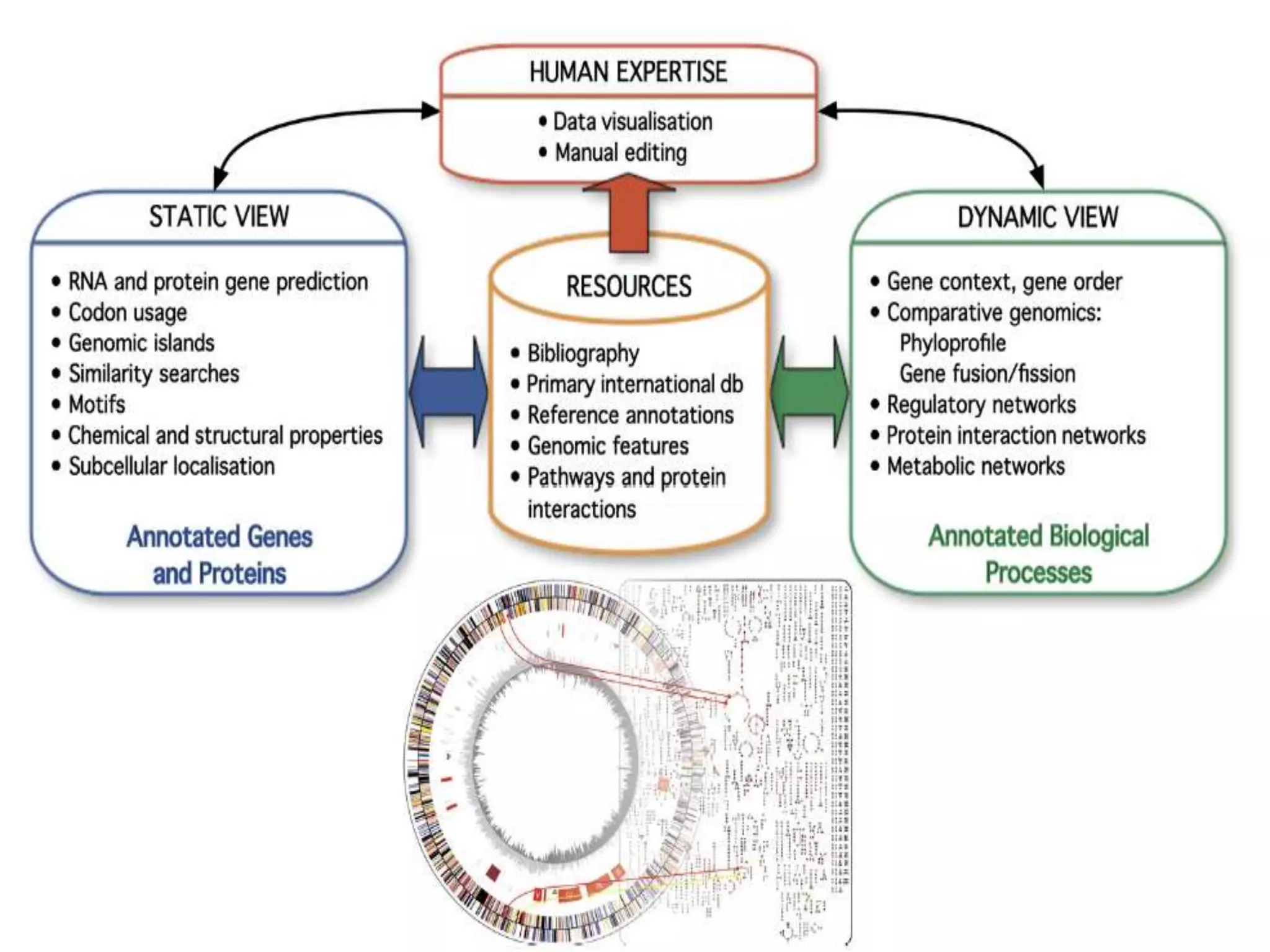 Whole genome sequencing of bacteria & analysis | PPTX