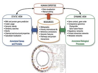 Whole genome sequencing of bacteria & analysis | PPTX
