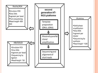 Whole genome sequencing of bacteria & analysis | PPTX